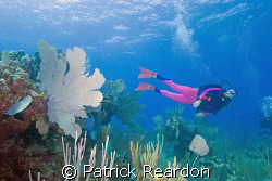 Wife and dive buddy in a scene with sea fan in Grand Cayman. by Patrick Reardon 